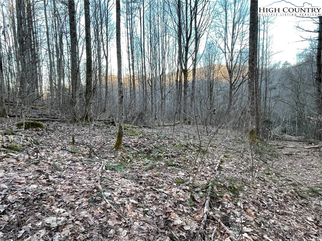 Image number 1 for the current listing
