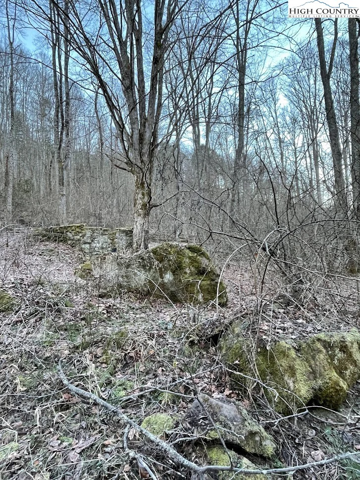 Image number 6 for the current listing