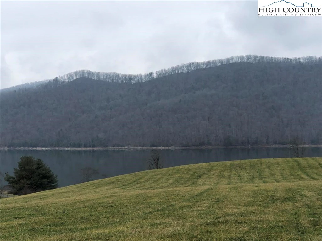 Image number 1 for the current listing