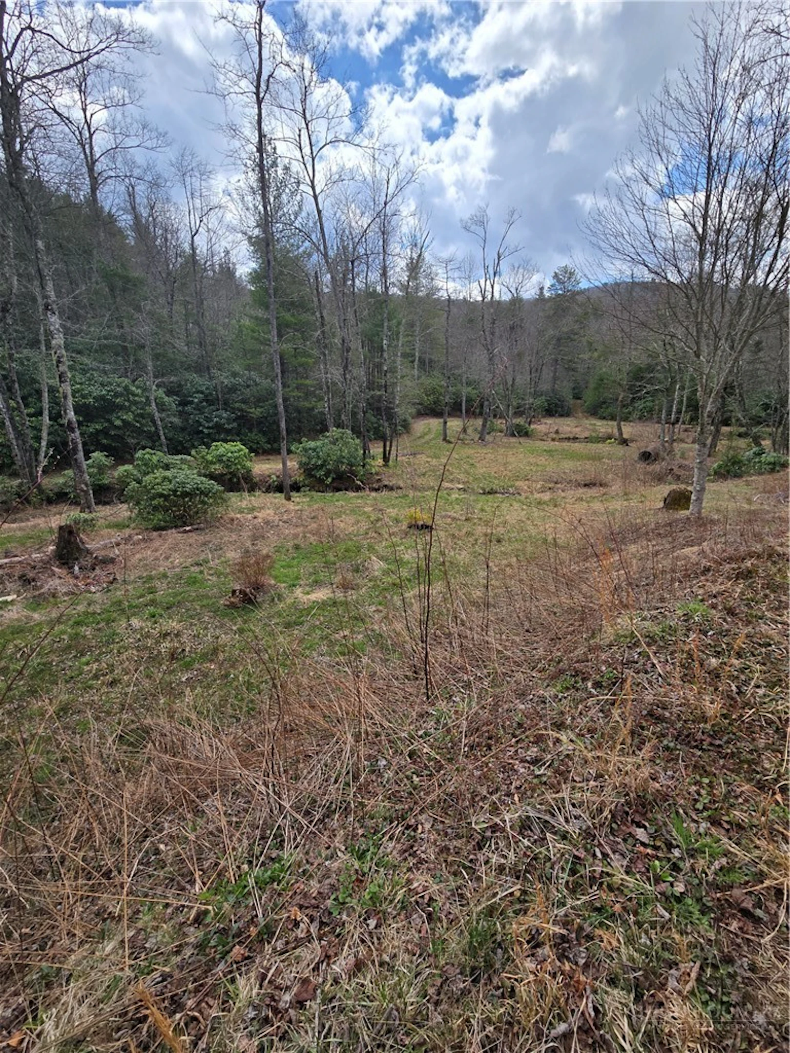 Image number 1 for the current listing