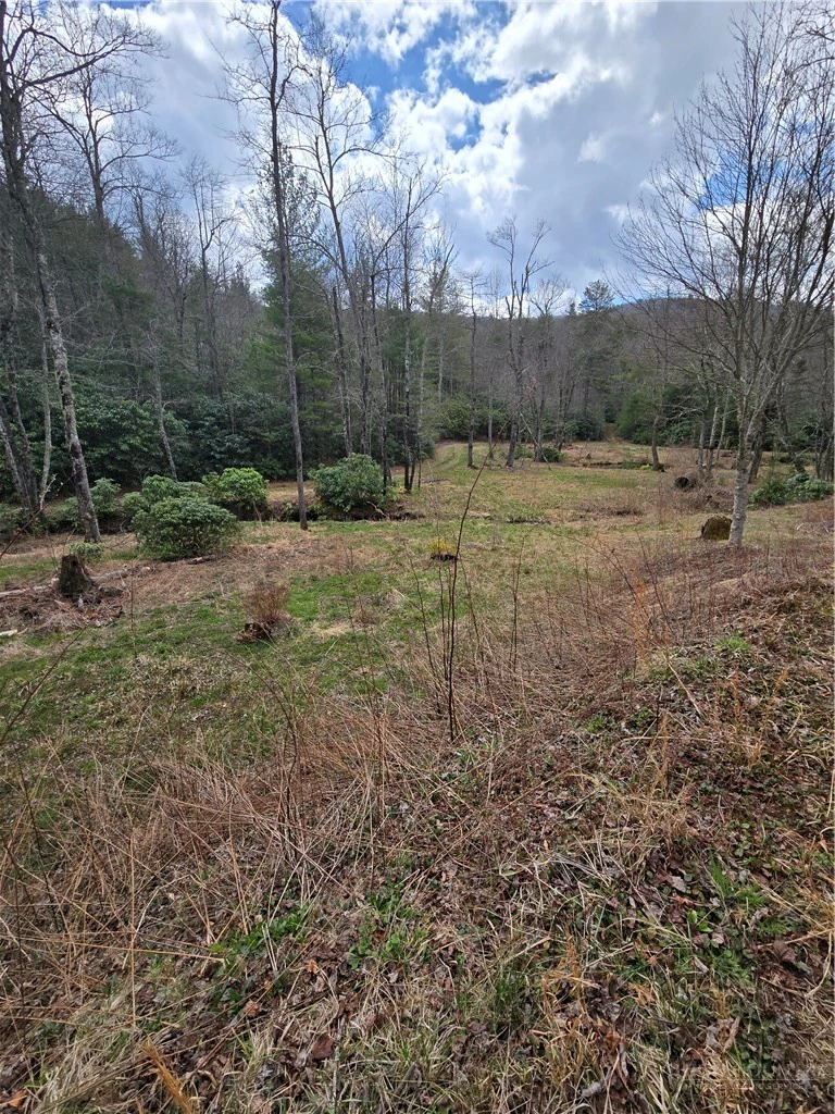 Image number 1 for the current listing