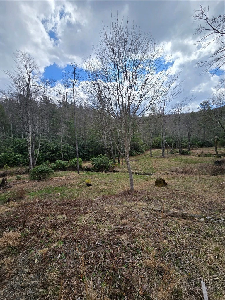 Image number 2 for the current listing