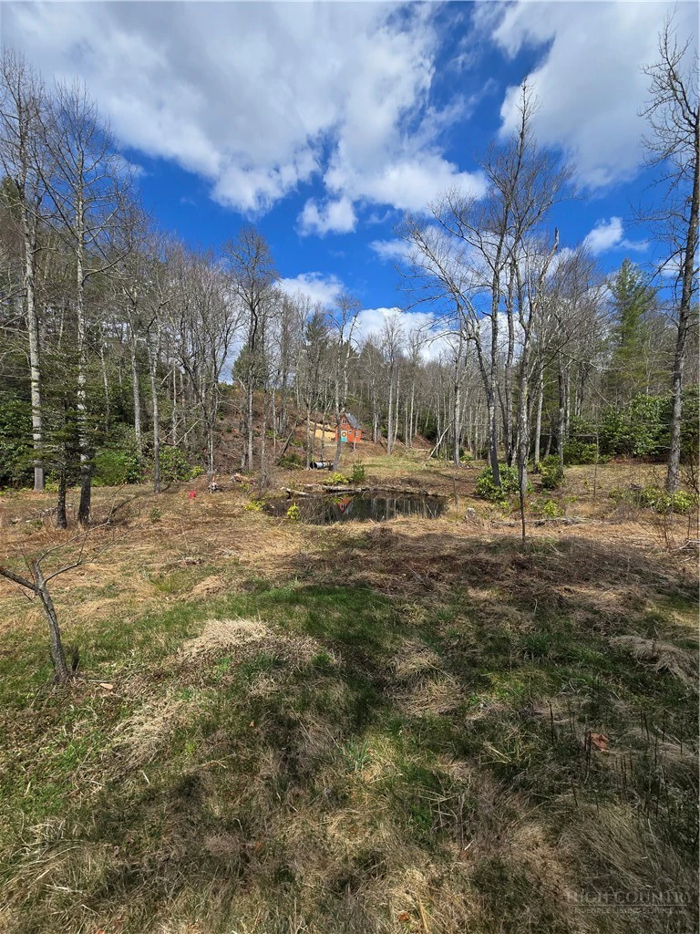 Image number 3 for the current listing