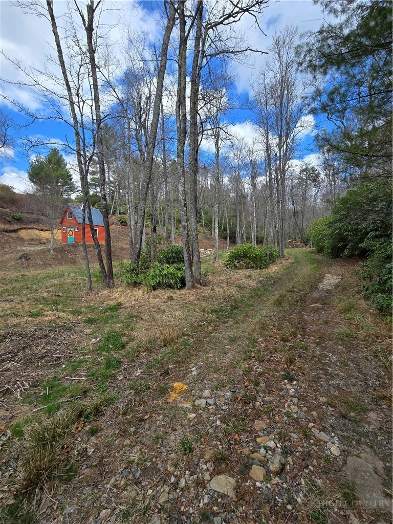 Image number 4 for the current listing