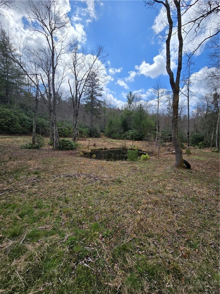 Image number 6 for the current listing