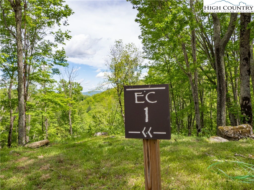 Image number 1 for the current listing