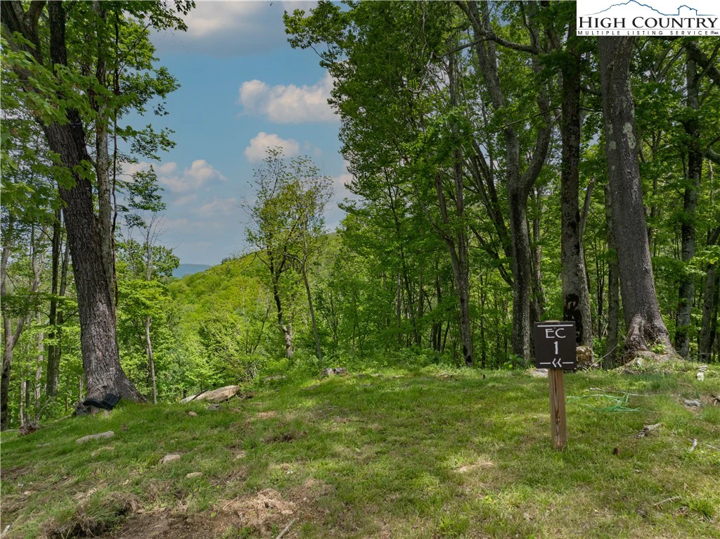 Image number 3 for the current listing
