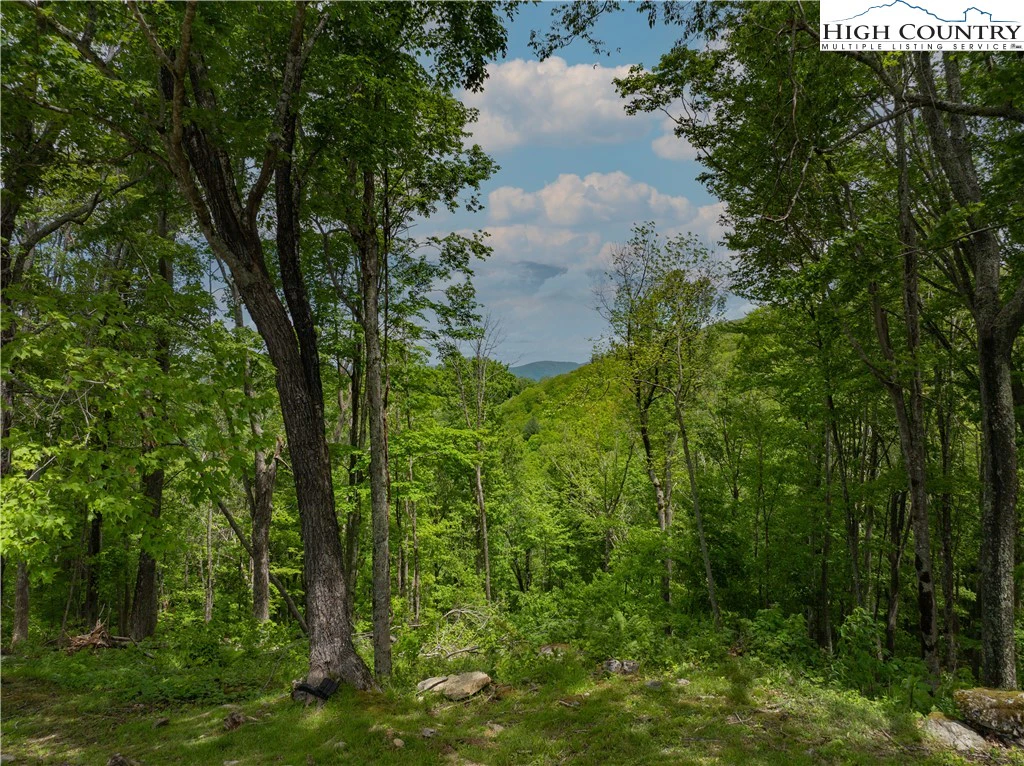 Image number 4 for the current listing