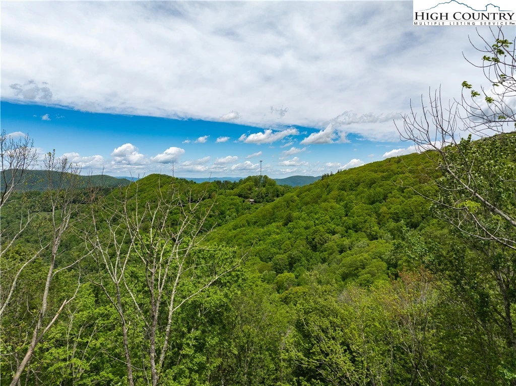 Image number 6 for the current listing