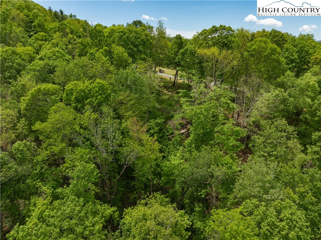 Image number 7 for the current listing