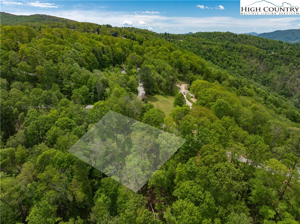 Image number 9 for the current listing