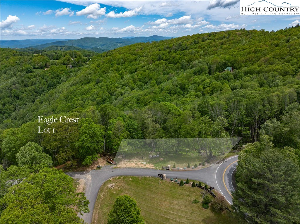 Image number 11 for the current listing