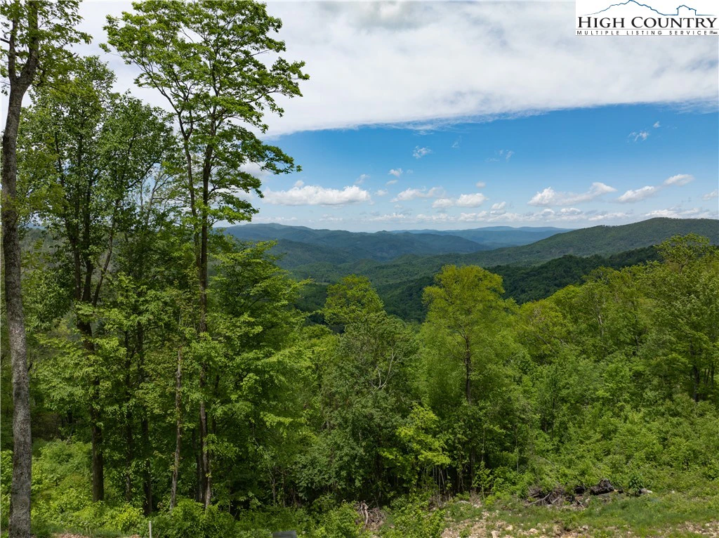 Image number 1 for the current listing