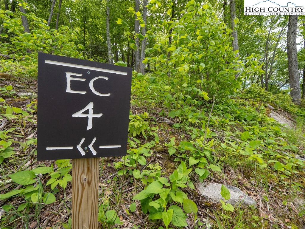 Image number 18 for the current listing