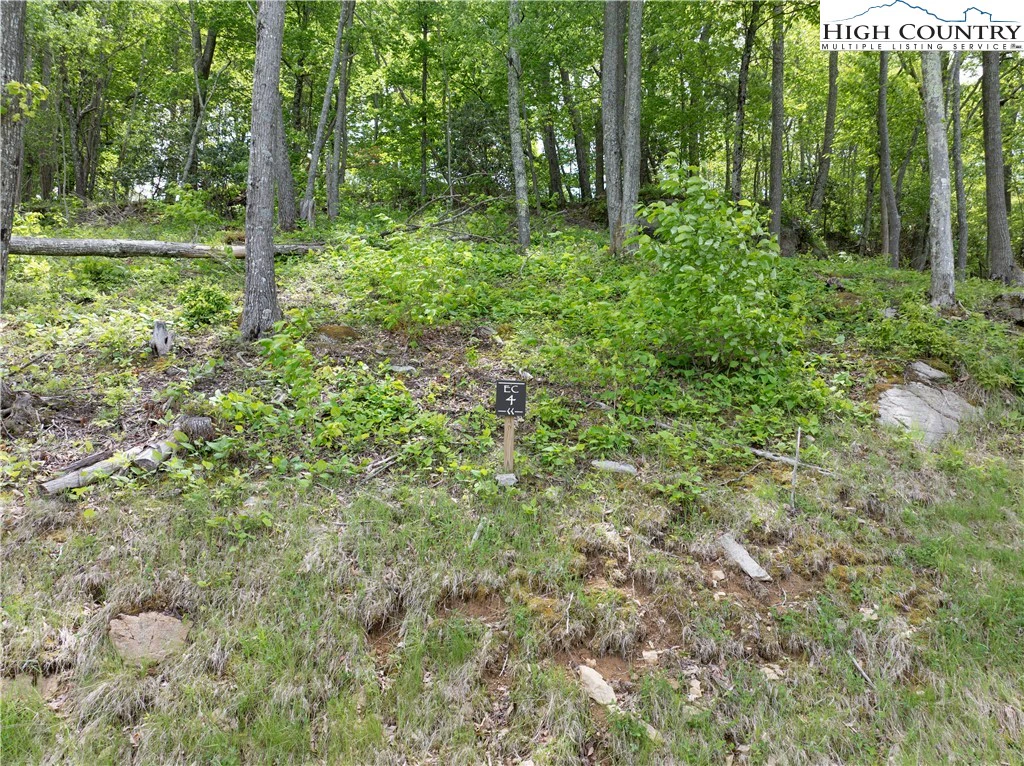 Image number 15 for the current listing