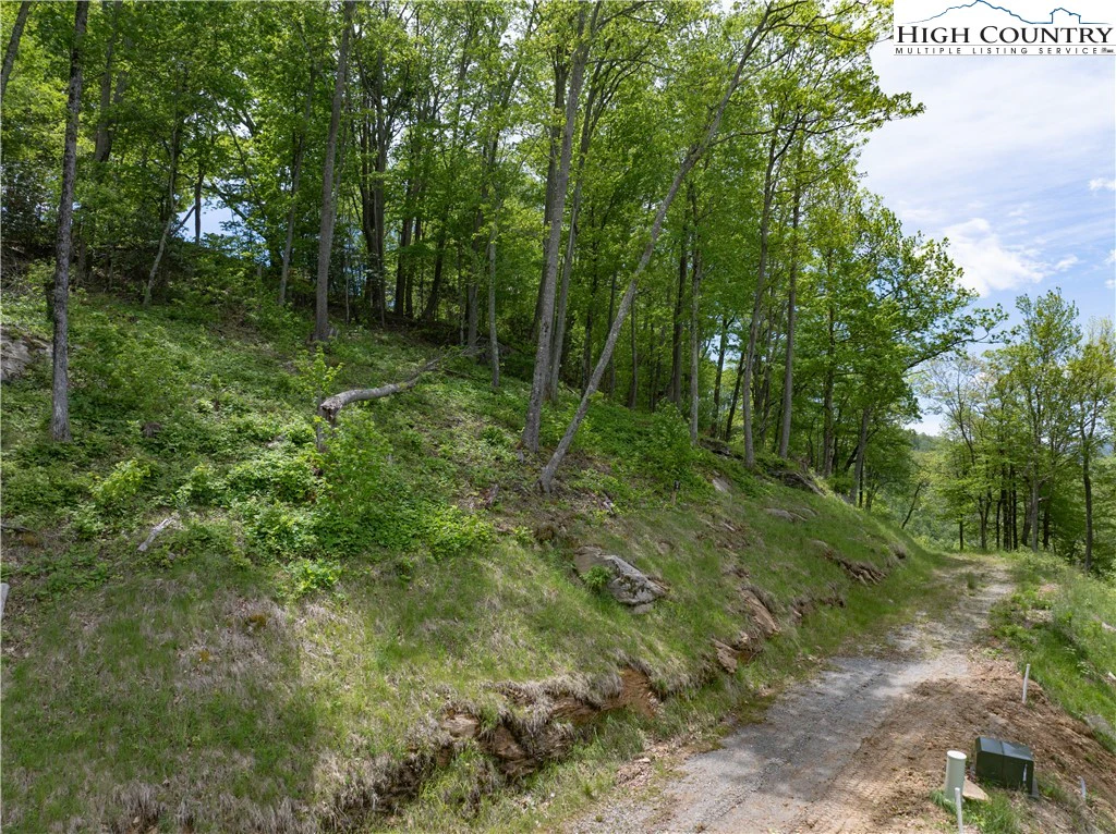 Image number 14 for the current listing