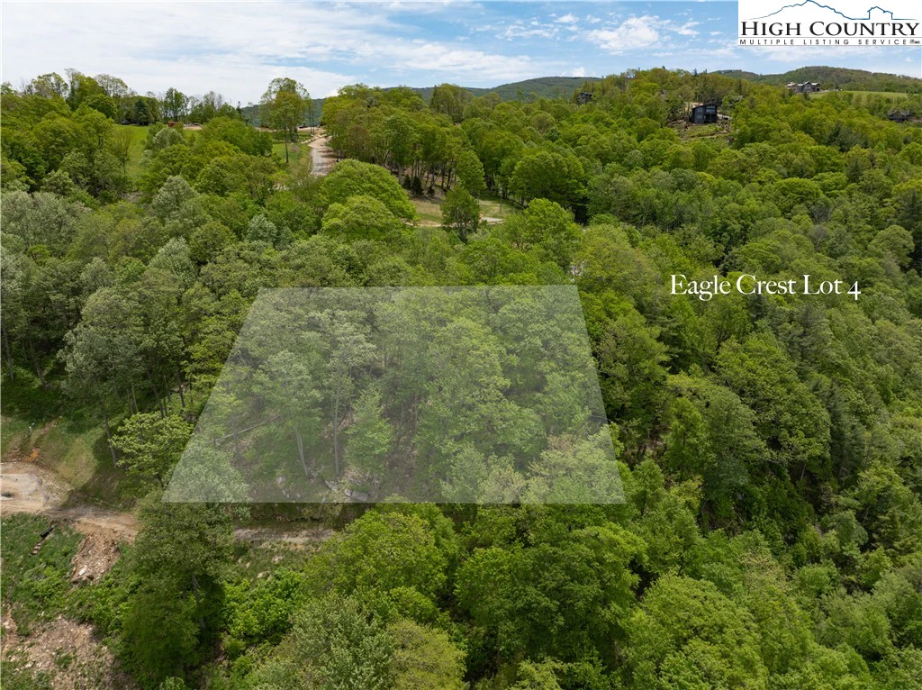 Image number 12 for the current listing