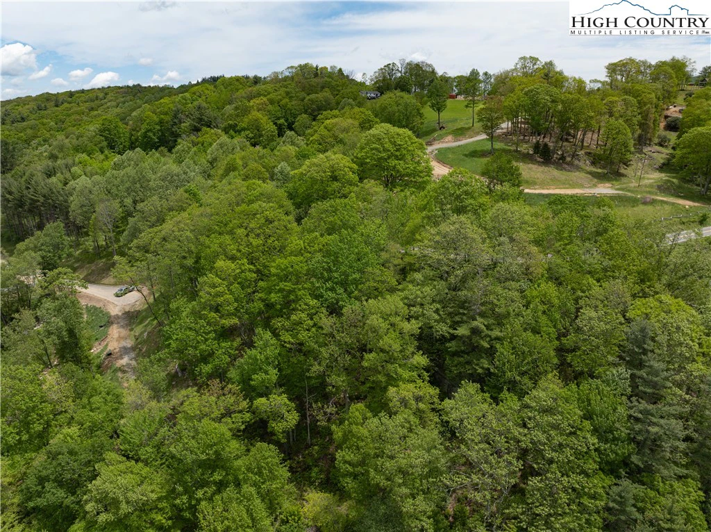 Image number 11 for the current listing