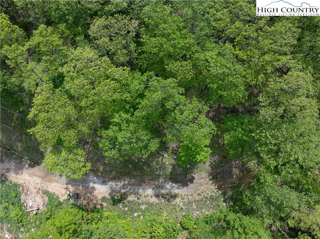 Image number 6 for the current listing