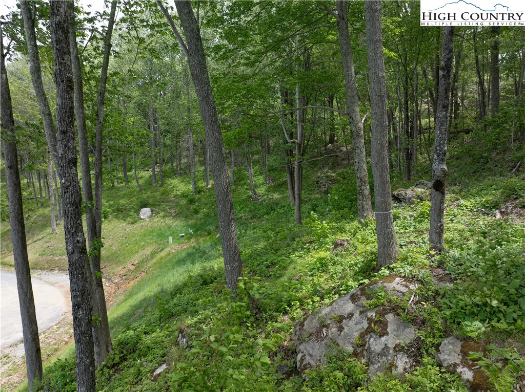 Image number 5 for the current listing