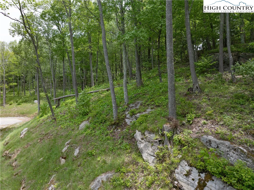Image number 4 for the current listing