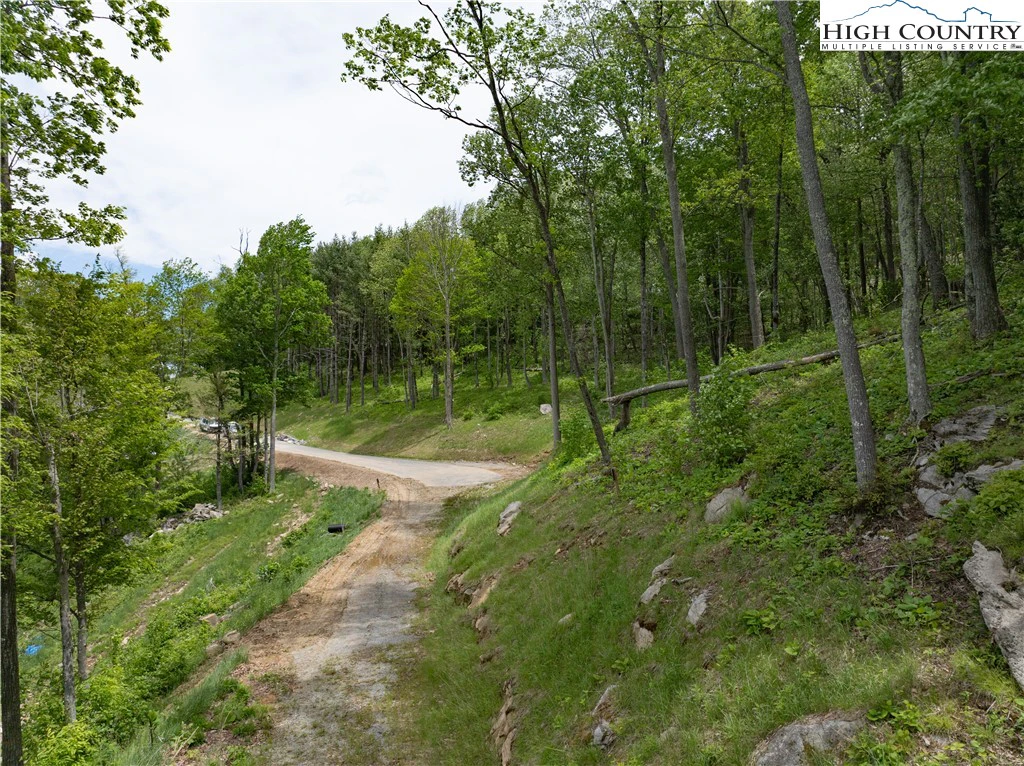 Image number 3 for the current listing