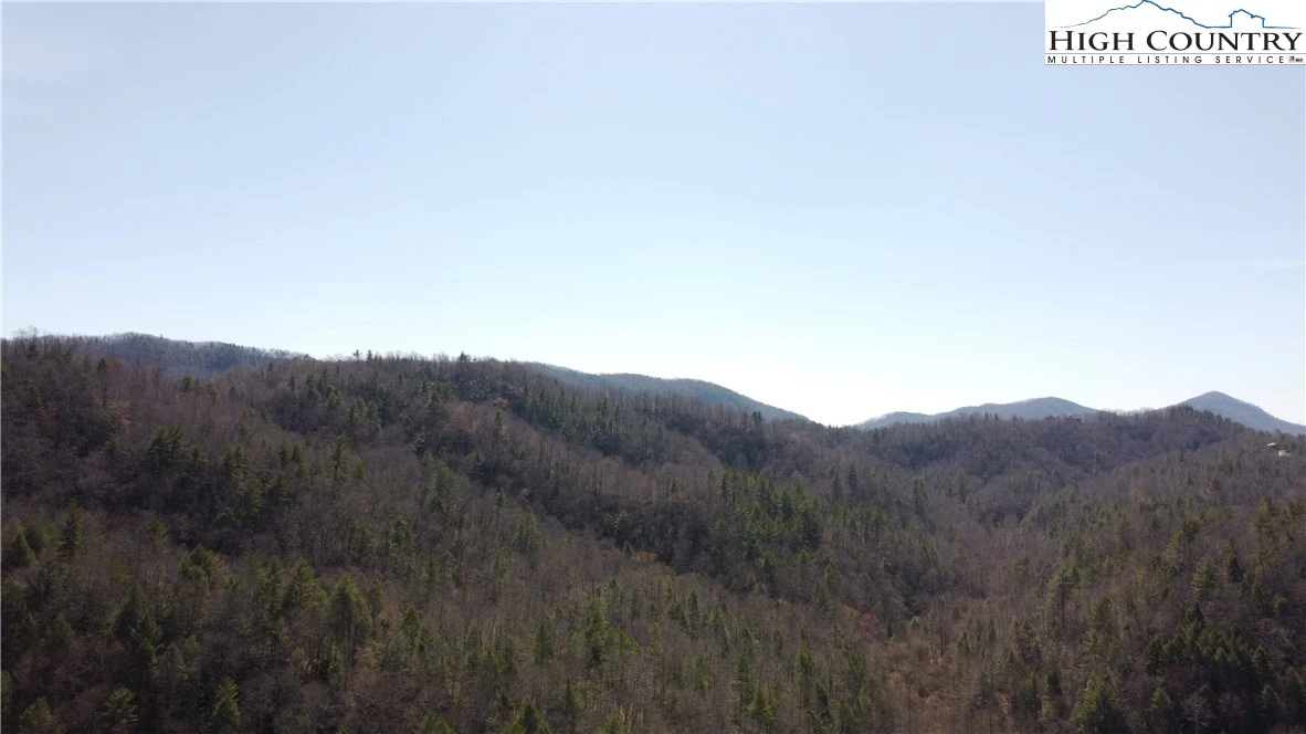 Image number 15 for the current listing