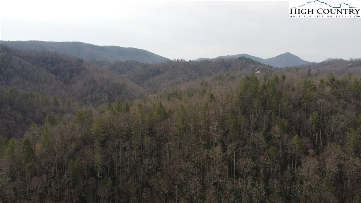 Image number 13 for the current listing