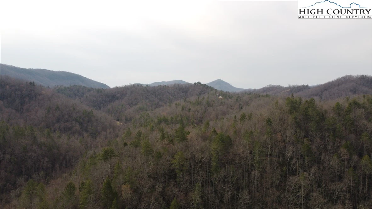 Image number 2 for the current listing