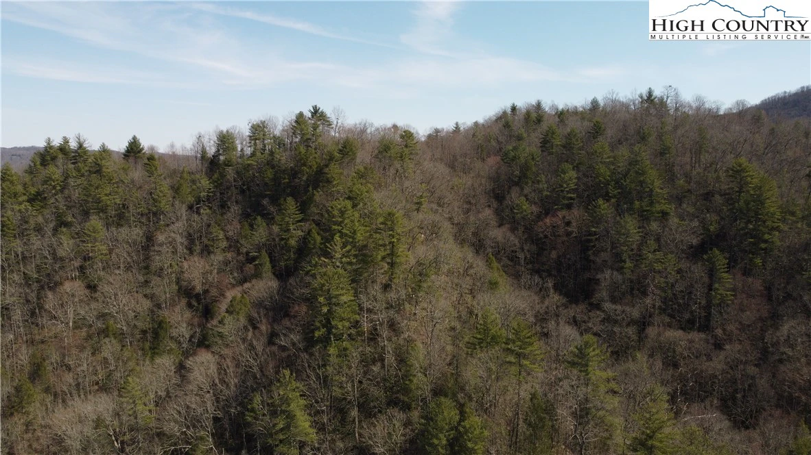 Image number 14 for the current listing
