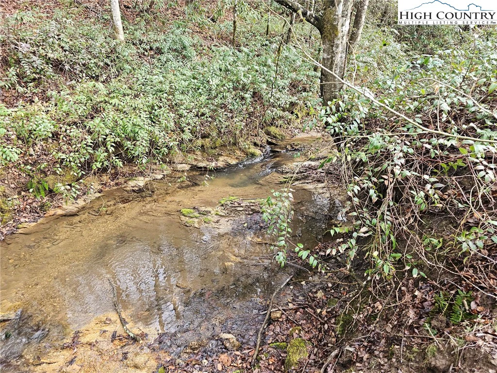 Image number 1 for the current listing