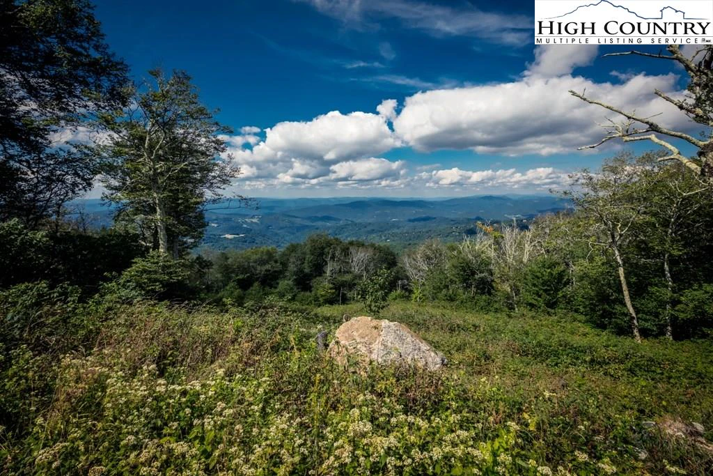 Image number 1 for the current listing