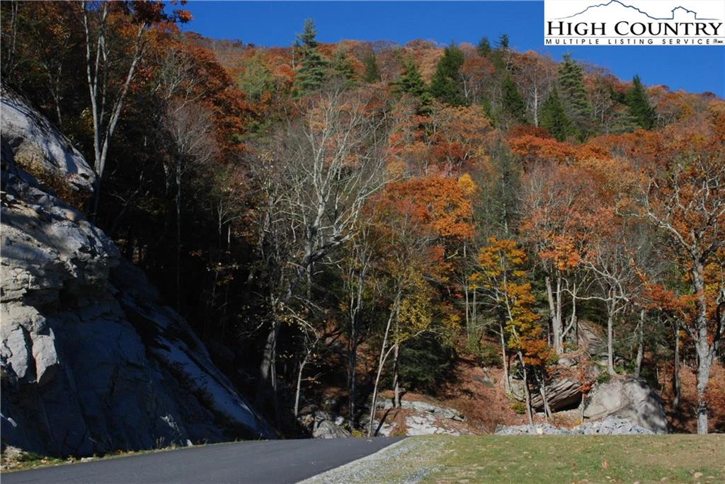 Image number 9 for the current listing