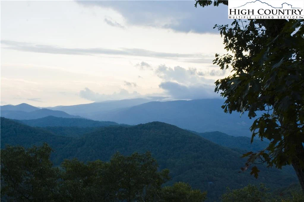 Image number 5 for the current listing