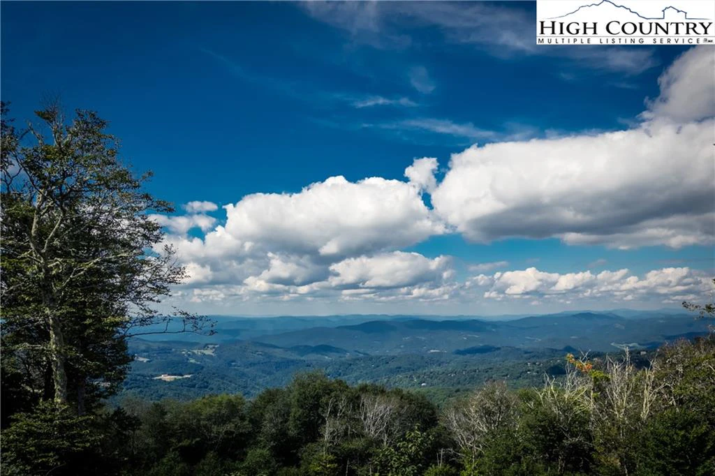 Image number 1 for the current listing