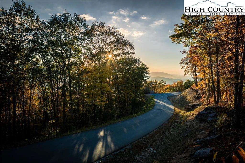 Image number 1 for the current listing