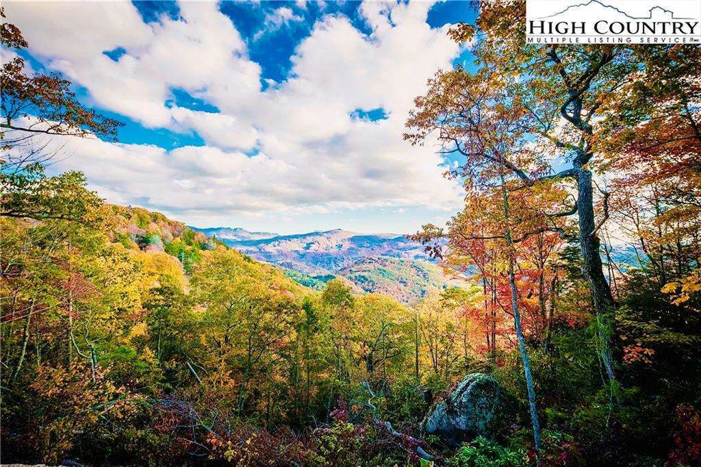 Image number 3 for the current listing