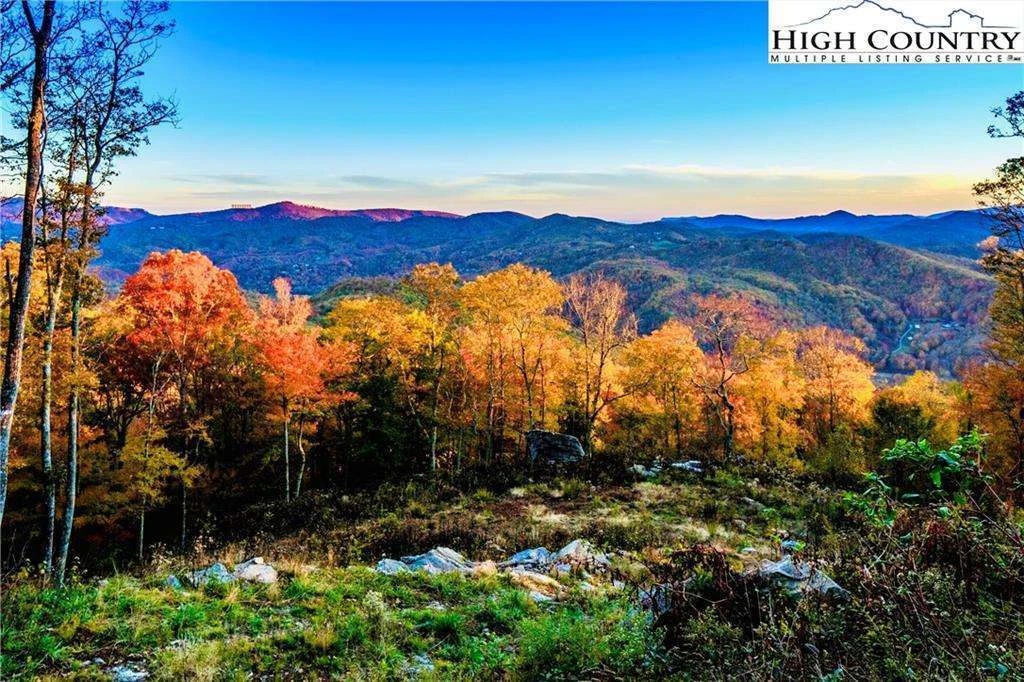 Image number 4 for the current listing