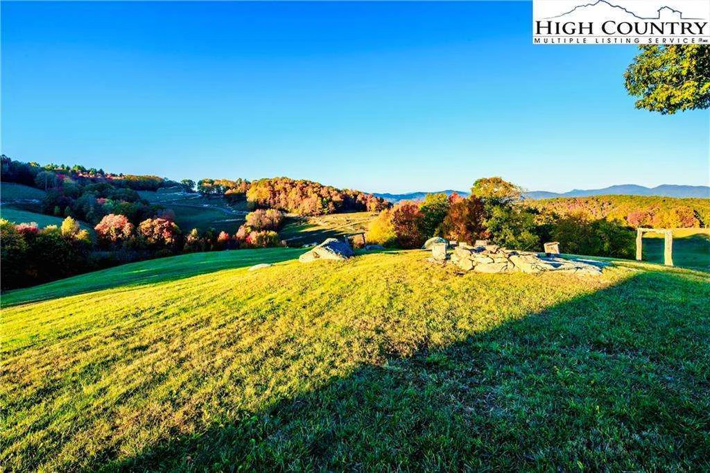 Image number 14 for the current listing