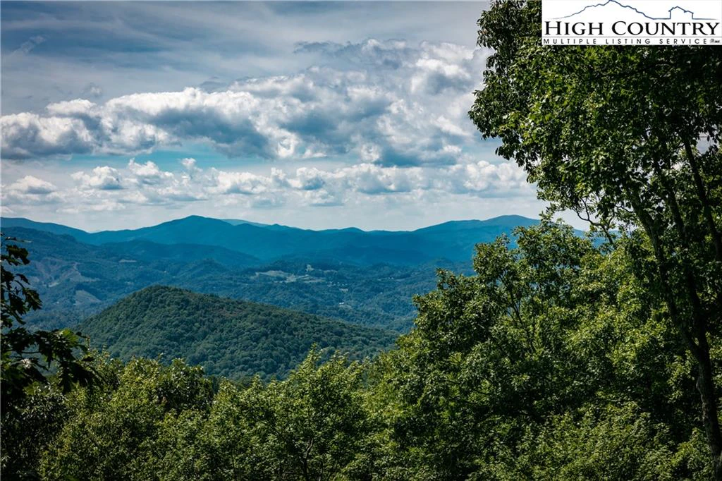 Image number 1 for the current listing