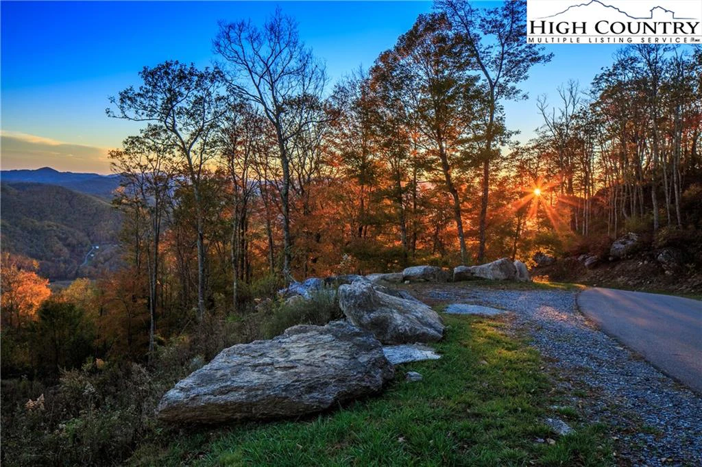 Image number 17 for the current listing