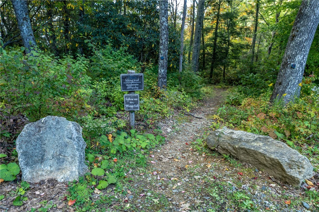 Image number 7 for the current listing