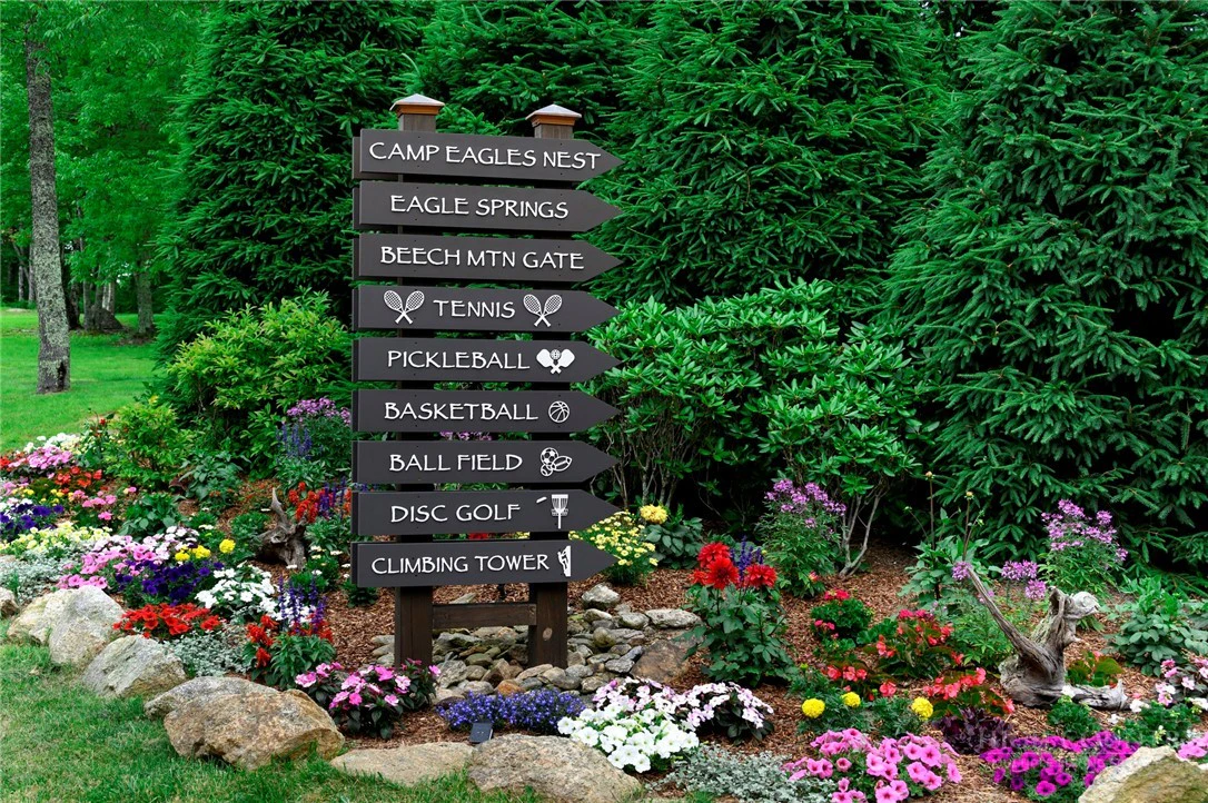 Image number 2 for the current listing