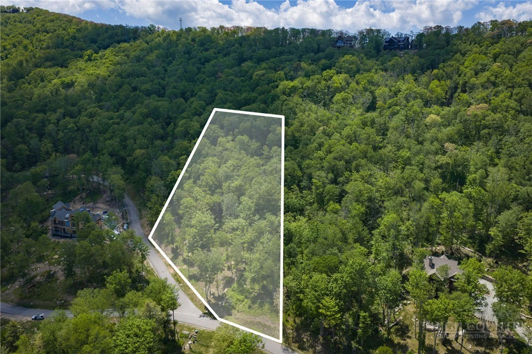 Image number 3 for the current listing
