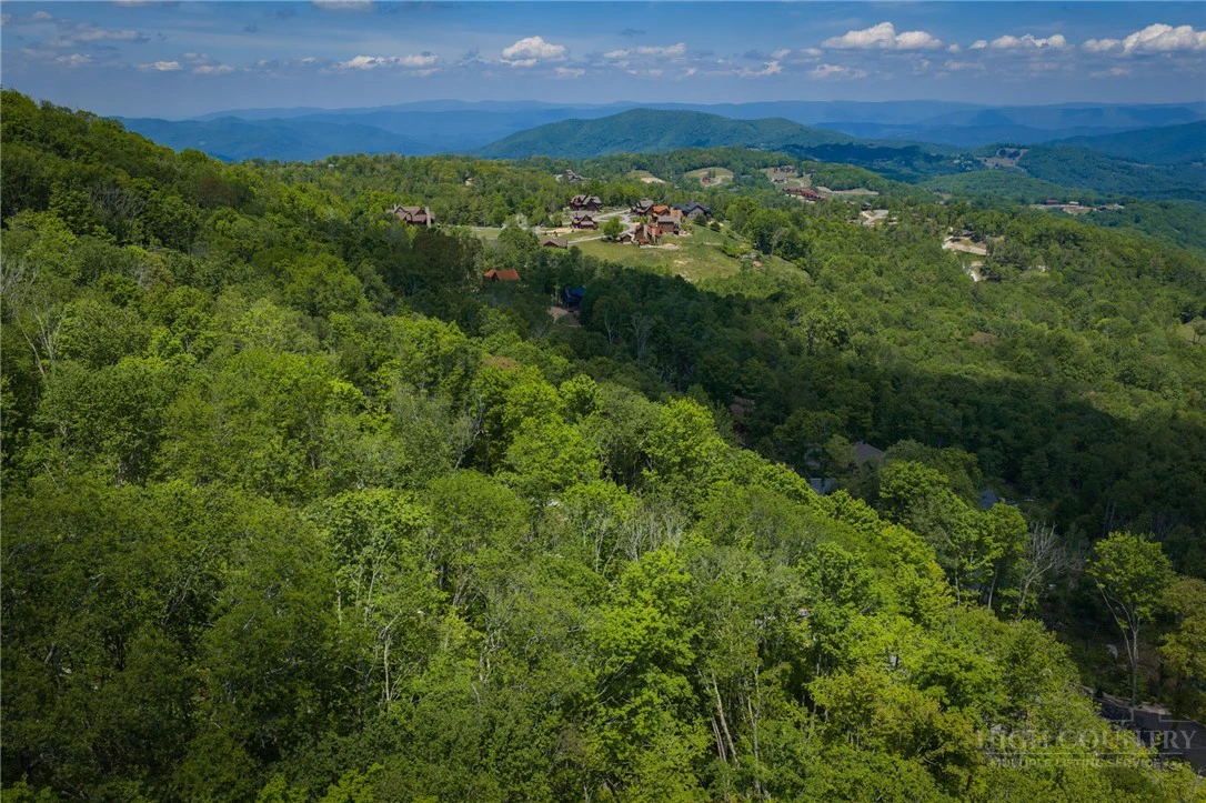 Image number 4 for the current listing