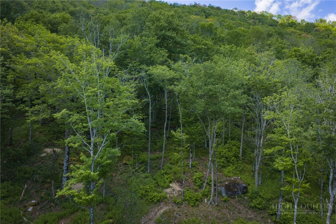 Image number 5 for the current listing
