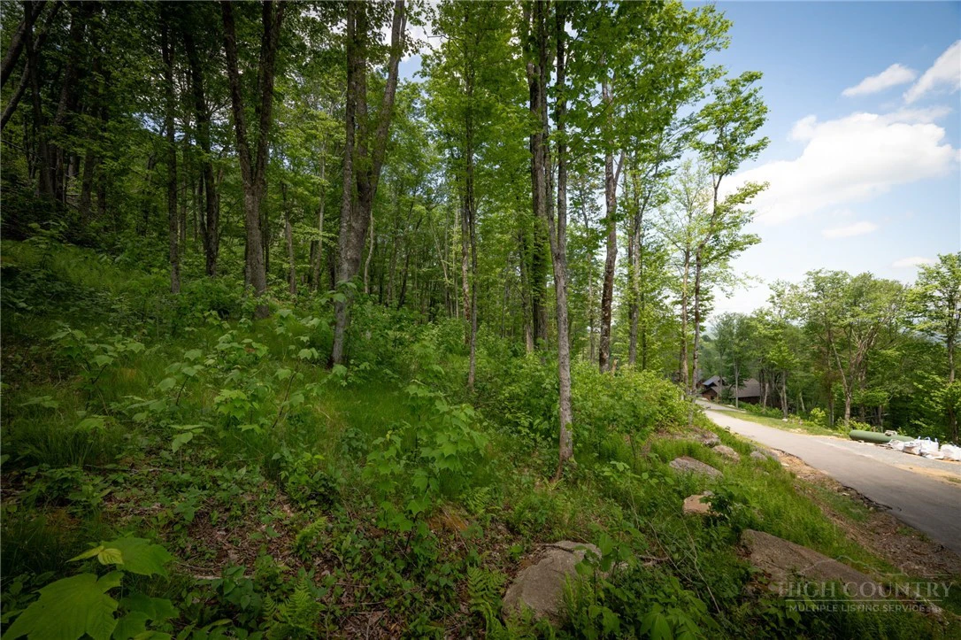 Image number 2 for the current listing
