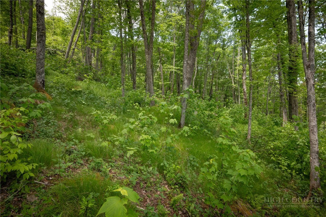 Image number 6 for the current listing