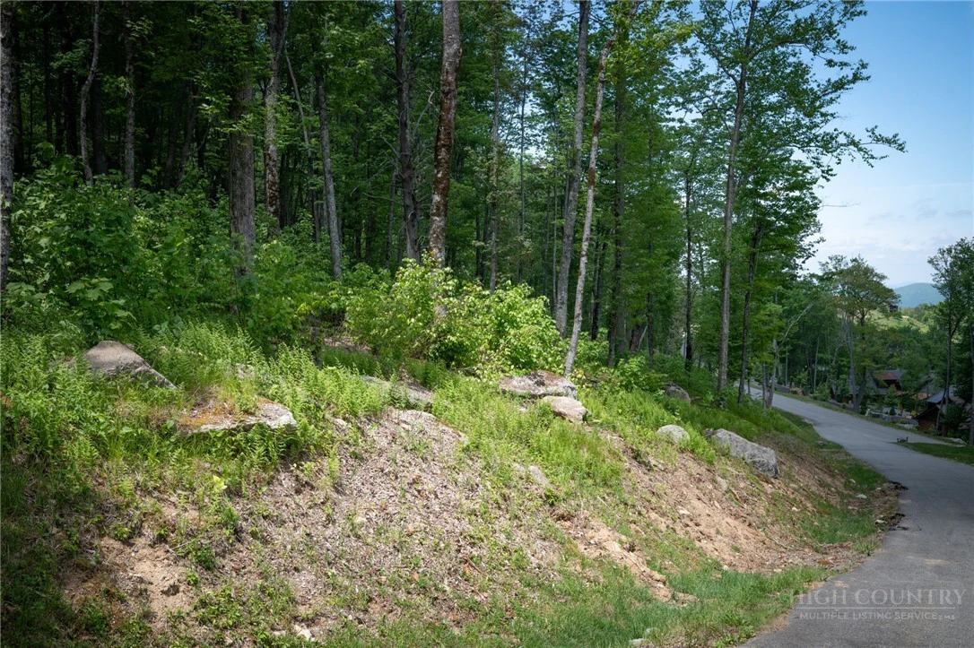 Image number 7 for the current listing