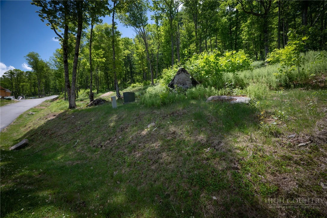 Image number 8 for the current listing